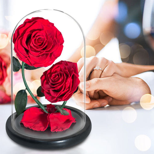 a7aef11cf398424e6e4c635d5d9f34d4